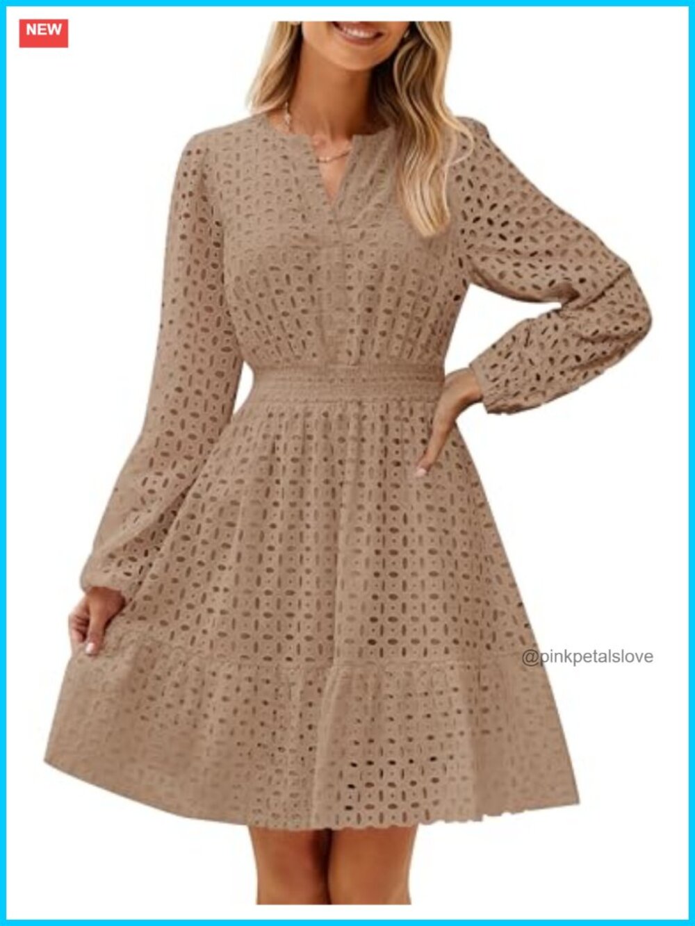 Eyelet Embroidery Mini Dress V-Neck Puff Long Sleeve Casual